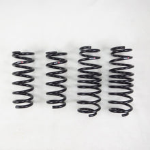 Load image into Gallery viewer, RS-R 02-08 Honda Accord Wagon (CM2) Super Down Springs