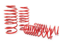 Load image into Gallery viewer, H&amp;R 14-19 Ford Focus ST Race Springs Kit - 1.7in Front / 1.6in Rear