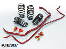 Load image into Gallery viewer, Eibach Pro-Plus Kit for 18-20 Tesla 3 Performance