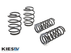 Eibach 18-20 Tesla Model 3 AWD Performance Pro-Kit